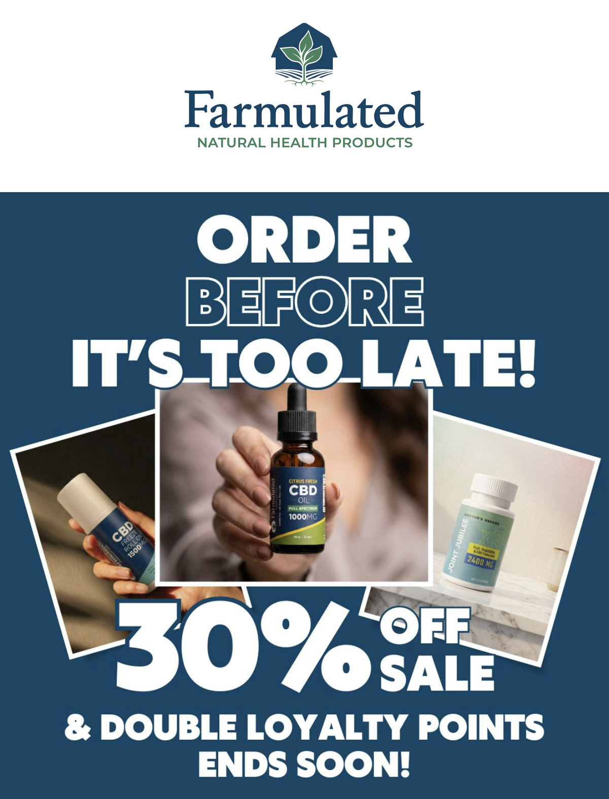 Email Marketing Example